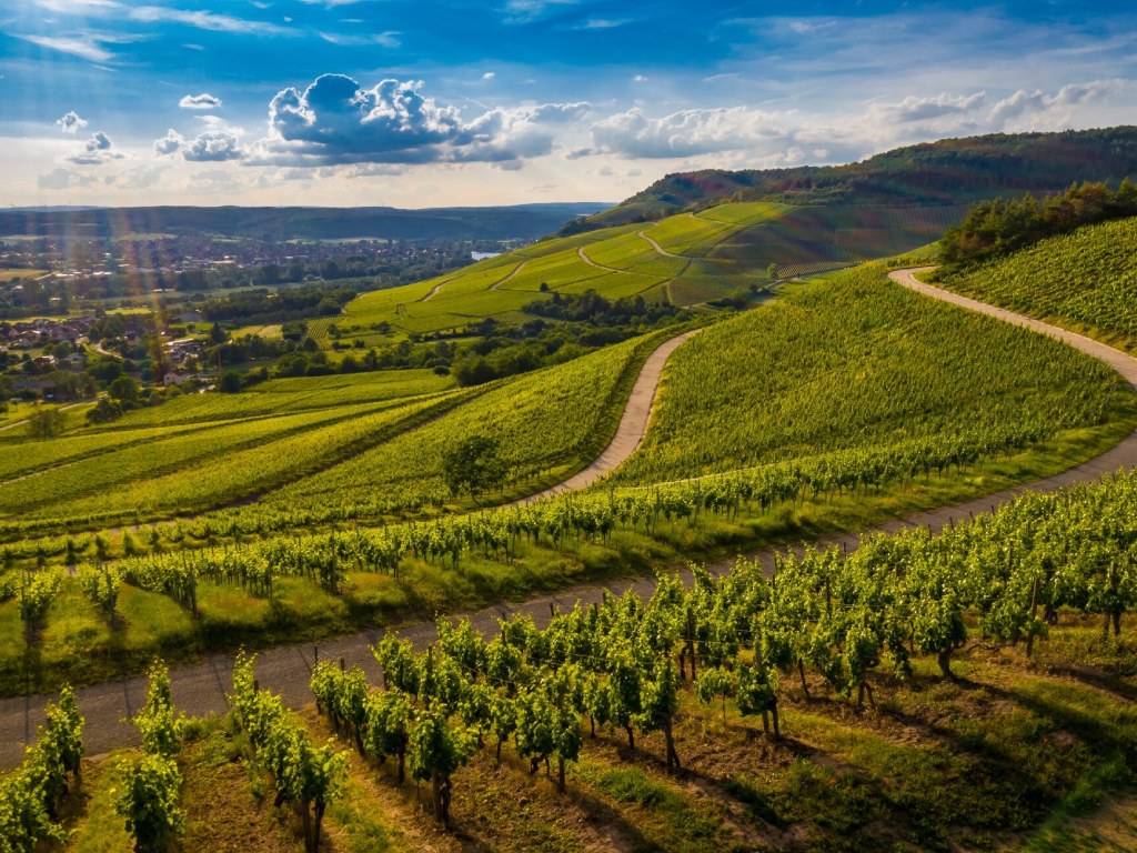 El papel del clima y el suelo en los vinos de La Rioja