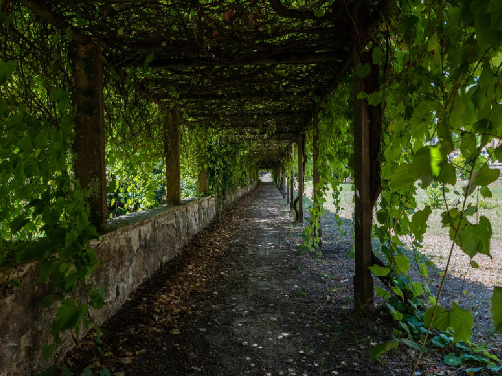 Ventajas de elegir una bodega en La Rioja con Hotel como Vinícola Real – 200 Monges Wine Hotel